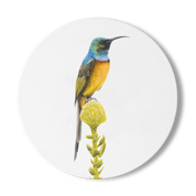 Orange Breasted Sunbird Wooden Coaster - OBS2
