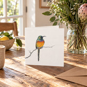 Orange Breasted Sunbird Greeting Card - OBS1
