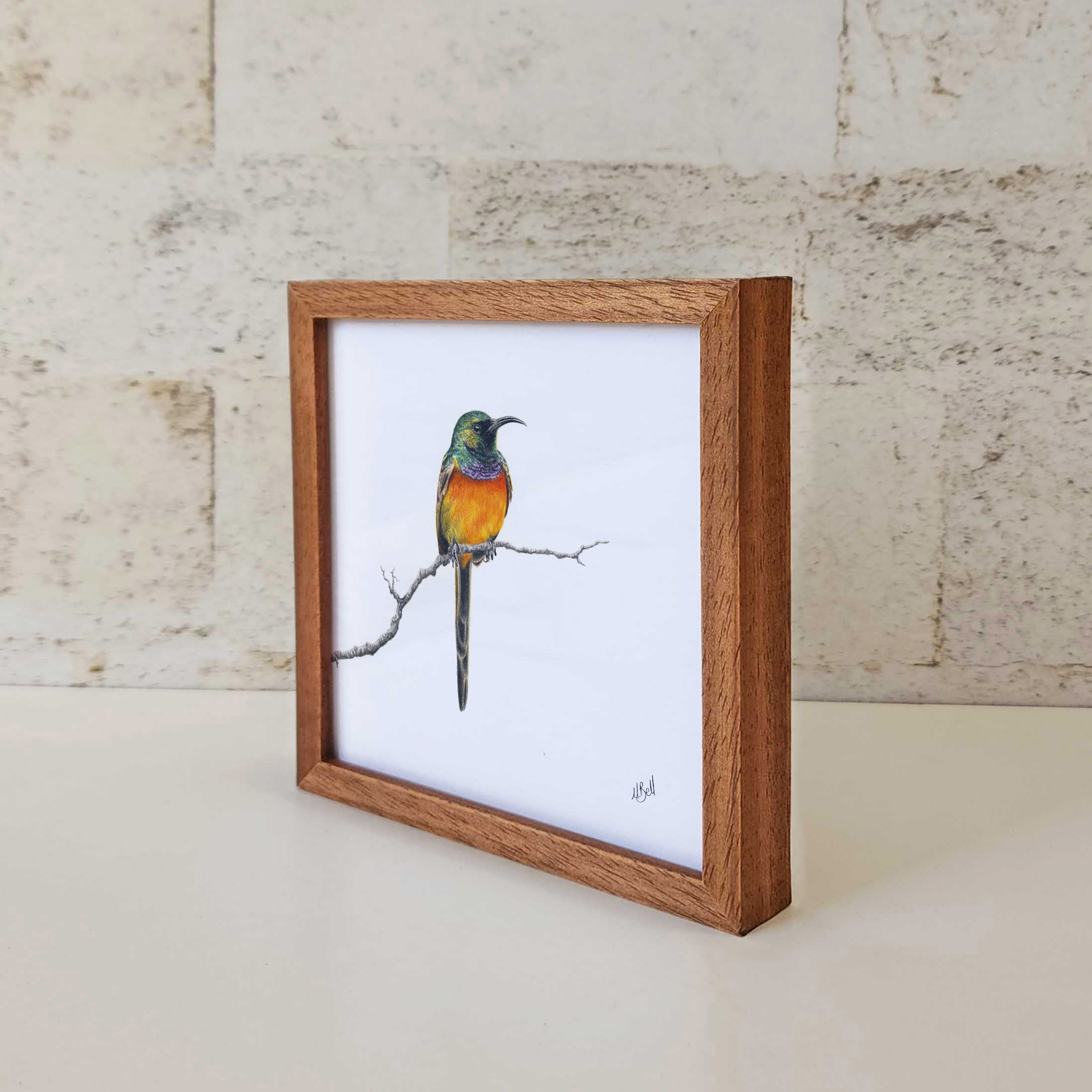 Kiaat wood framed miniature artwork of an Orange Breasted Sunbird, part of wildlife artist Matthew Bell's birds of South Africa gallery