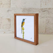 Kiaat wood framed miniature artwork of an Orange Breasted Sunbird, part of wildlife artist Matthew Bell's birds of South Africa gallery