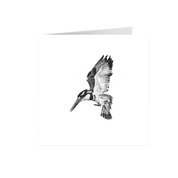 Pied Kingfisher Greeting Card - PK1