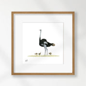 Ostrich - OST