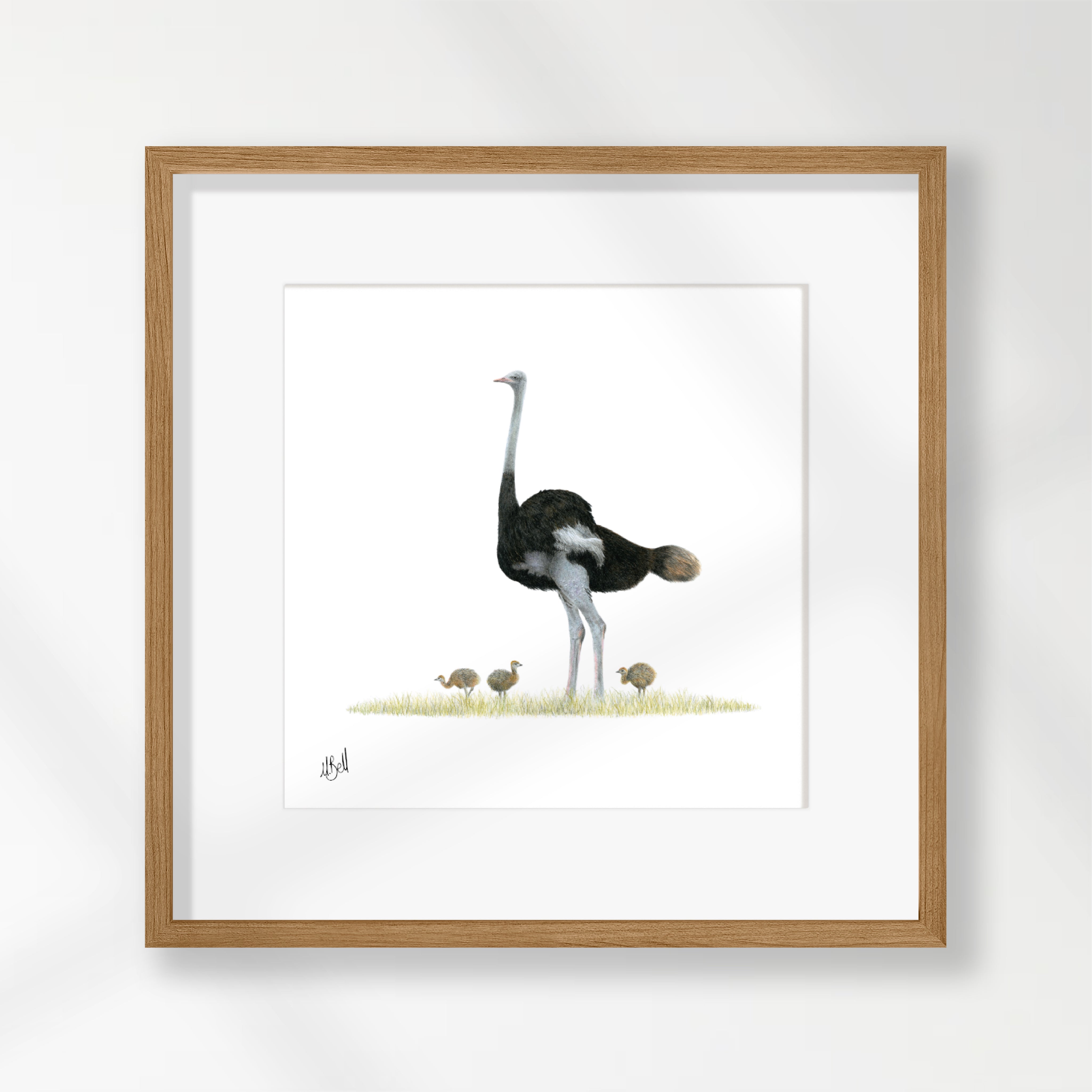 Ostrich - OST