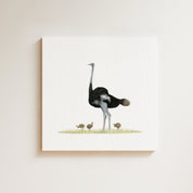 Ostrich (OST) on Canvas