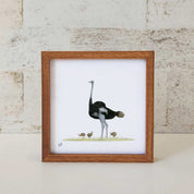 Ostrich - OST