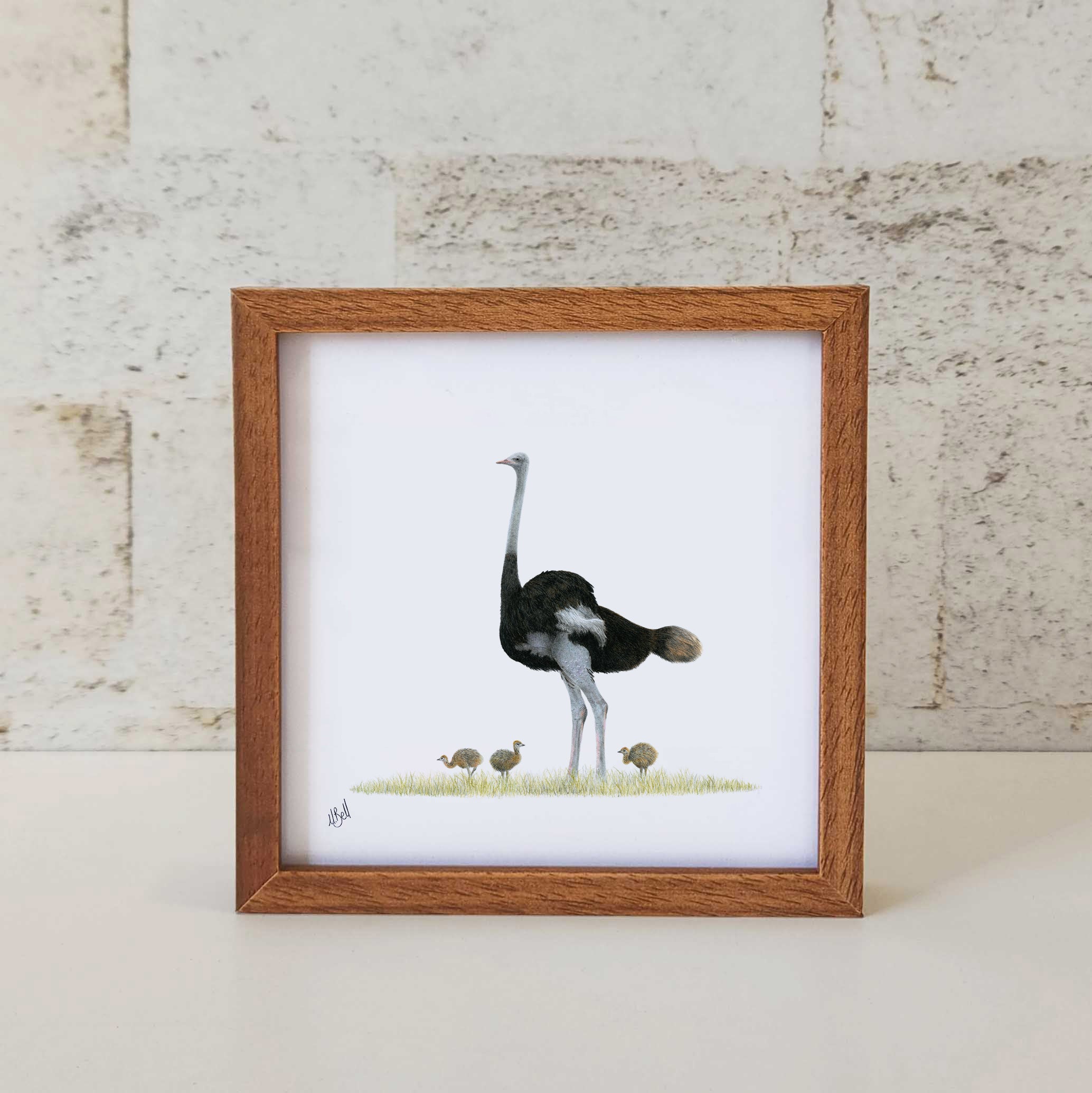 Ostrich - OST