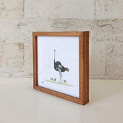 Ostrich - OST