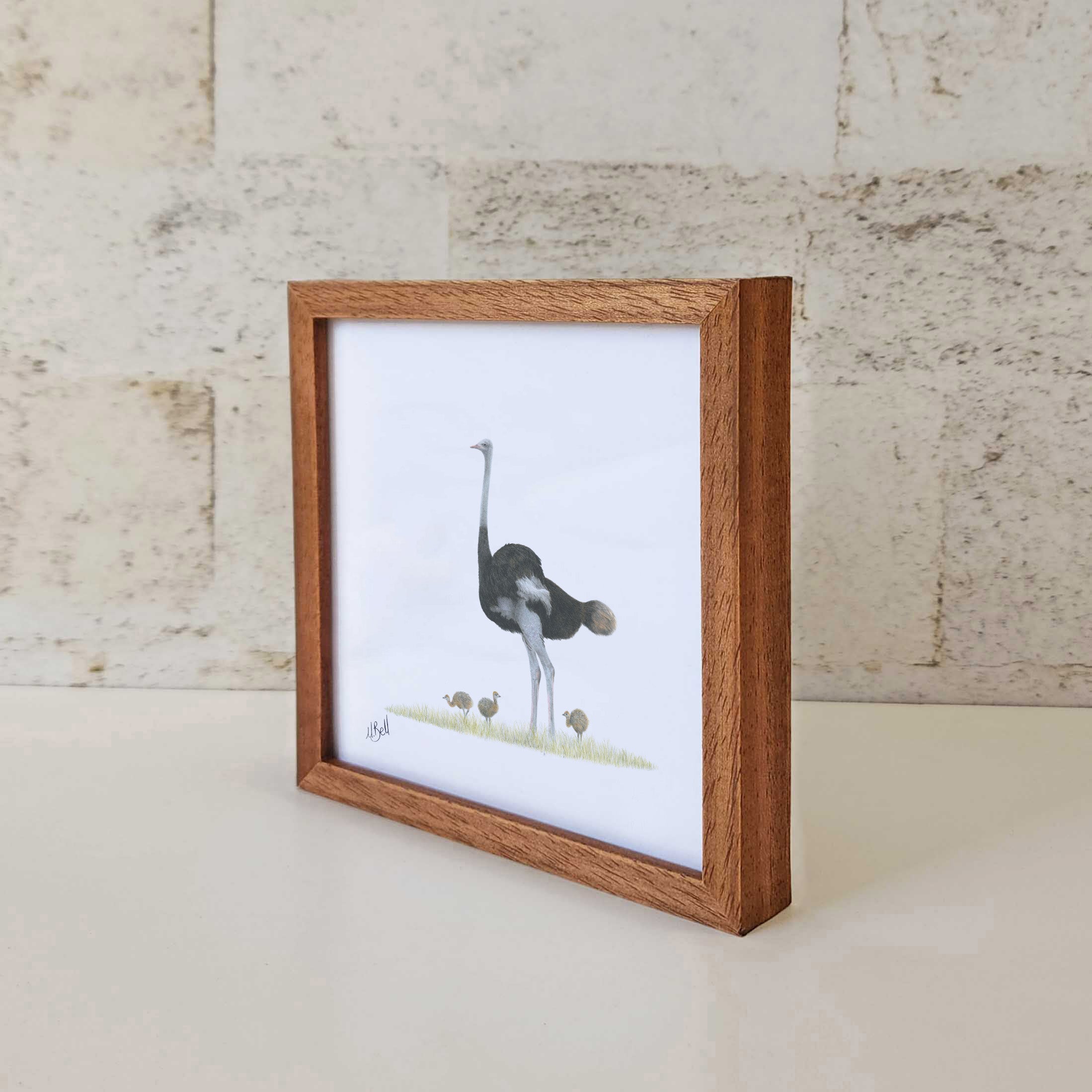 Ostrich - OST