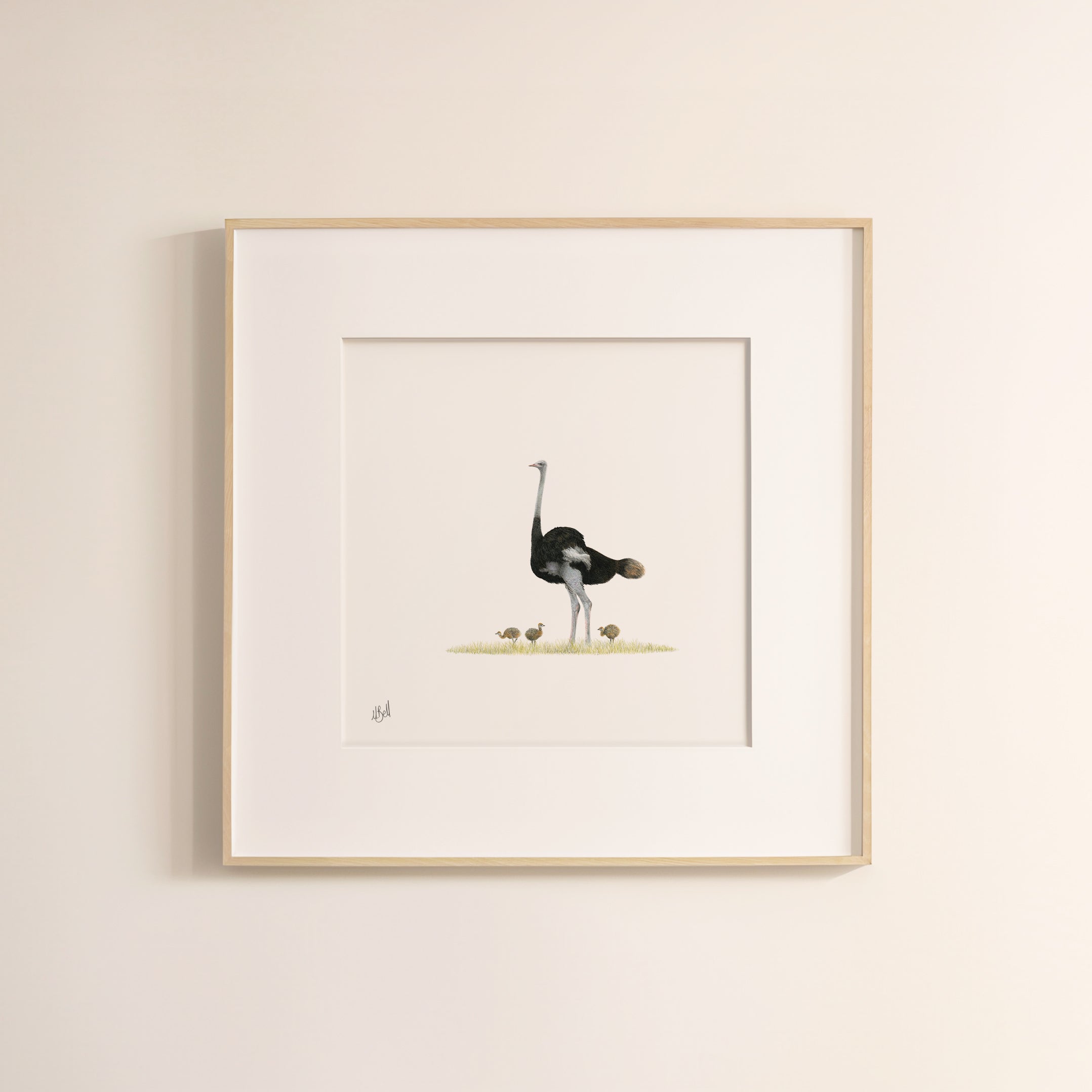 Ostrich - The Original