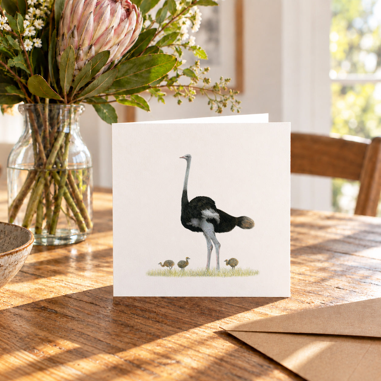 Ostrich Greeting Card - OST