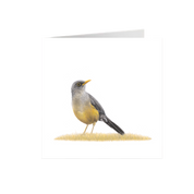 Olive Thrush Greeting Card - OT
