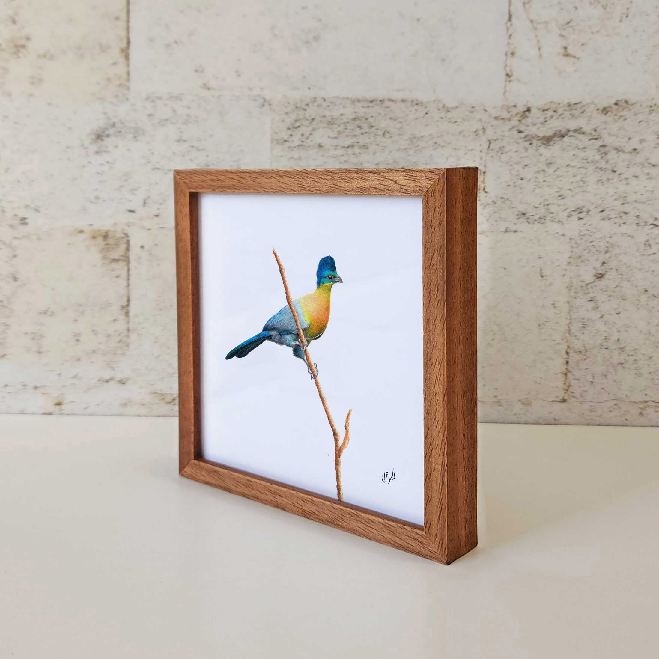 Kiaat wood framed miniature artwork of a Purple Crested Turaco, part of wildlife artist Matthew Bell's birds of South Africa gallery