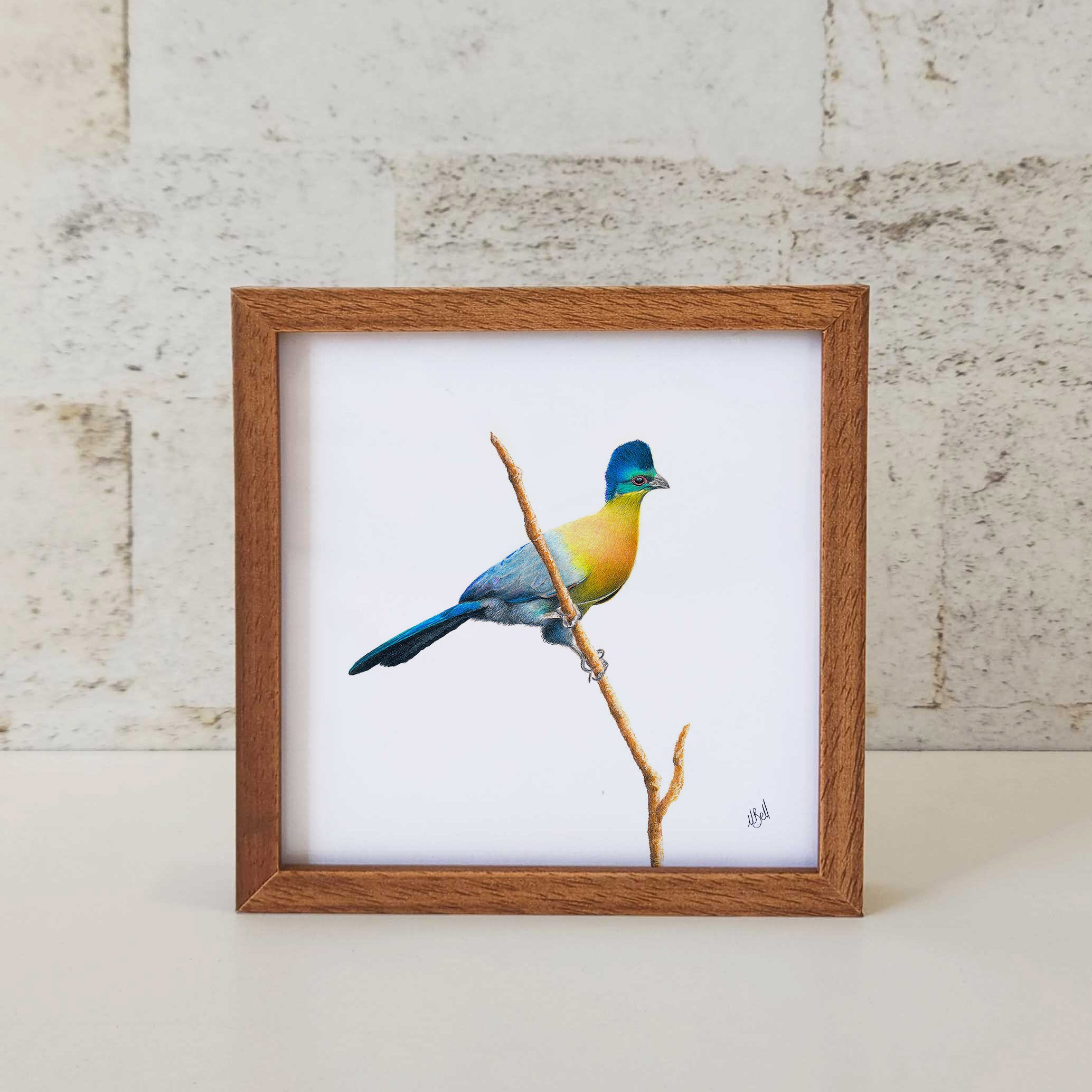 Kiaat wood framed miniature artwork of a Purple Crested Turaco, part of wildlife artist Matthew Bell's birds of South Africa gallery