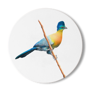 Purple Crested Turaco Wooden Coaster - PCT