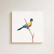 Purple Crested Turaco drawing on canvas by South African wildlife artist Matthew Bell