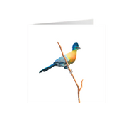 Purple Crested Turaco Goshawk Greeting Card - PCT