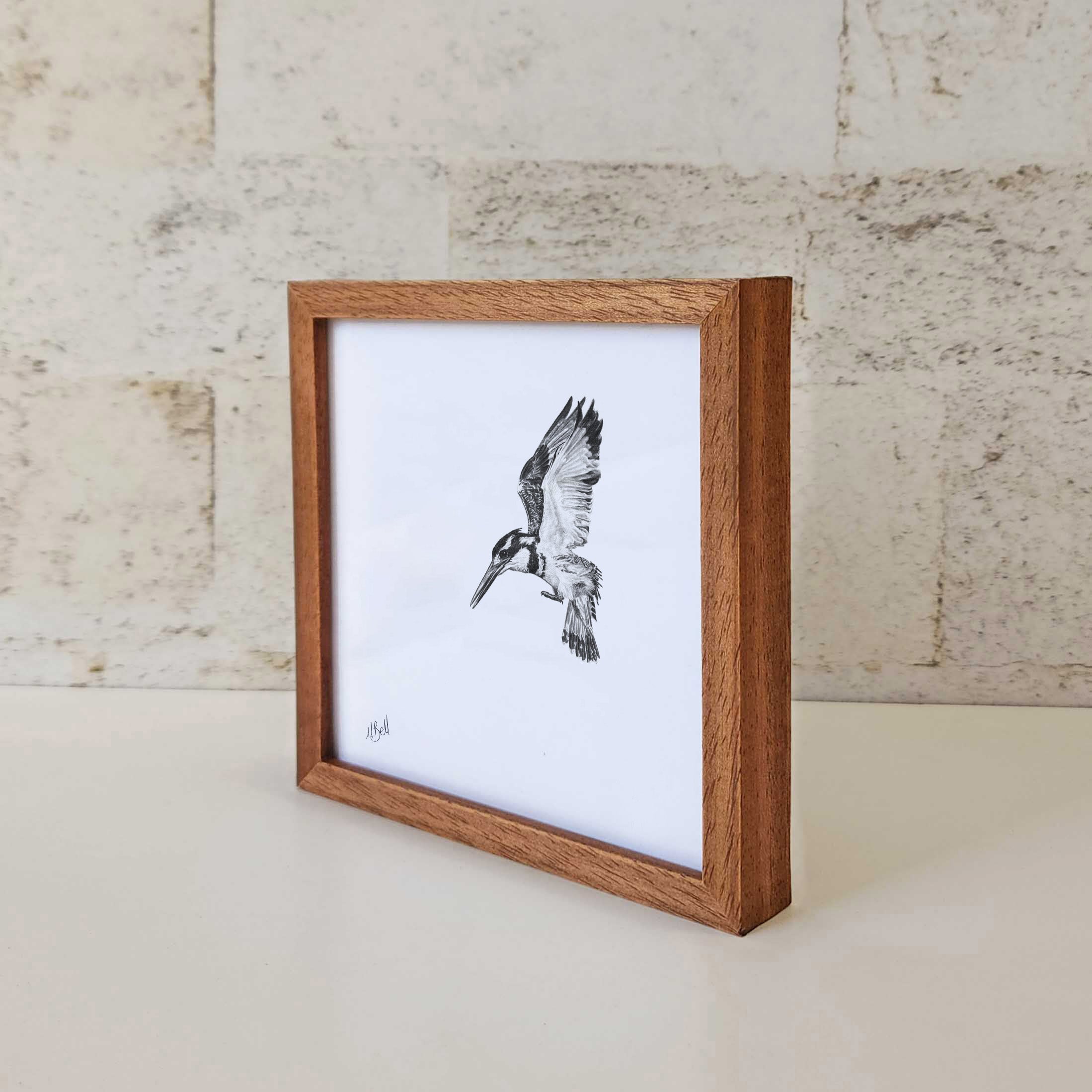 Kiaat wood framed miniature artwork of a Pied Kingfisher, part of wildlife artist Matthew Bell's birds of South Africa gallery