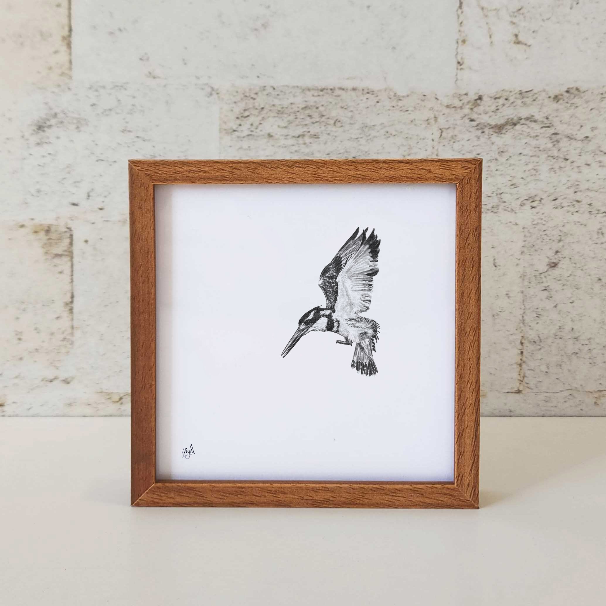 Kiaat wood framed miniature artwork of a Pied Kingfisher, part of wildlife artist Matthew Bell's birds of South Africa gallery