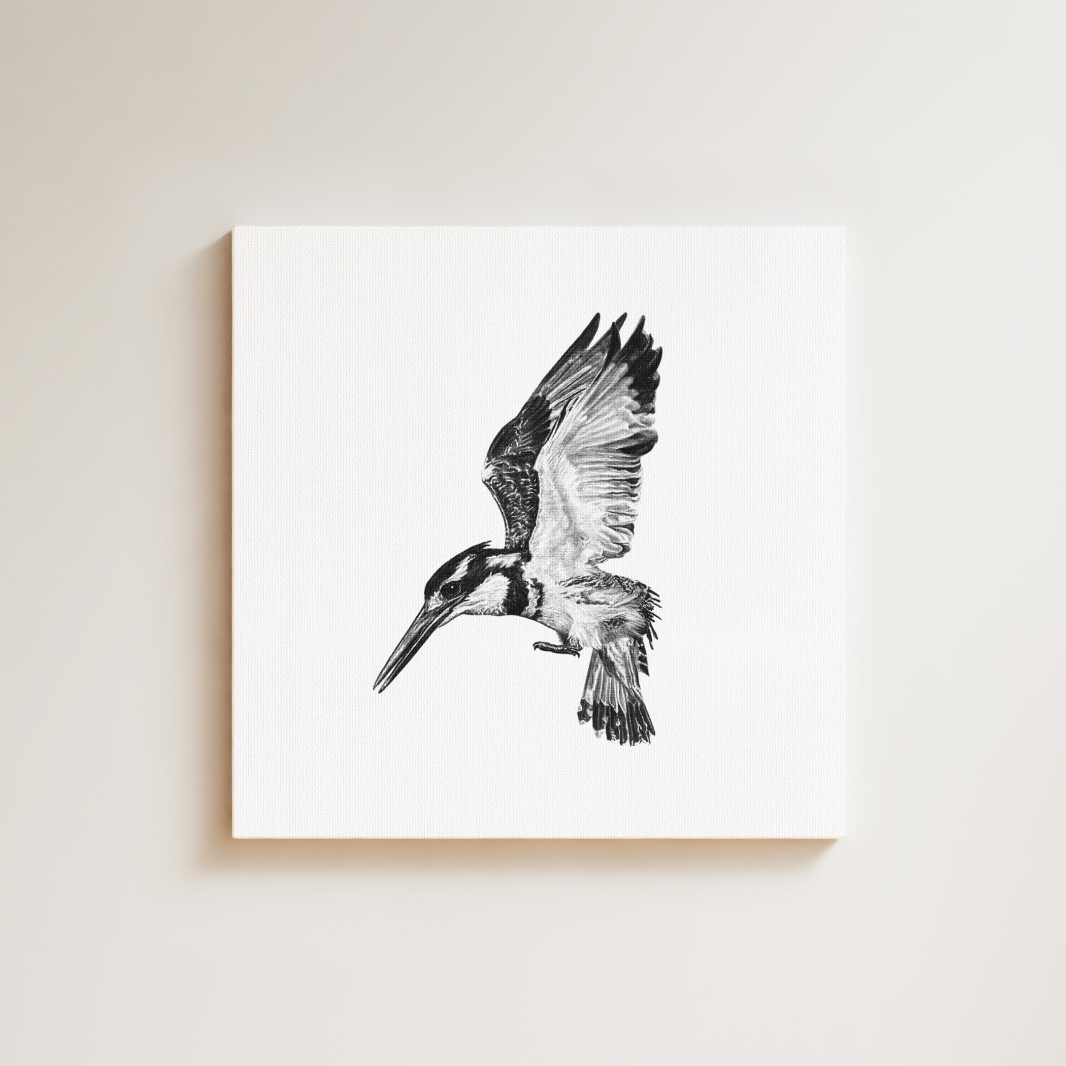 Pied Kingfisher drawing on canvas by South African wildlife artist Matthew Bell