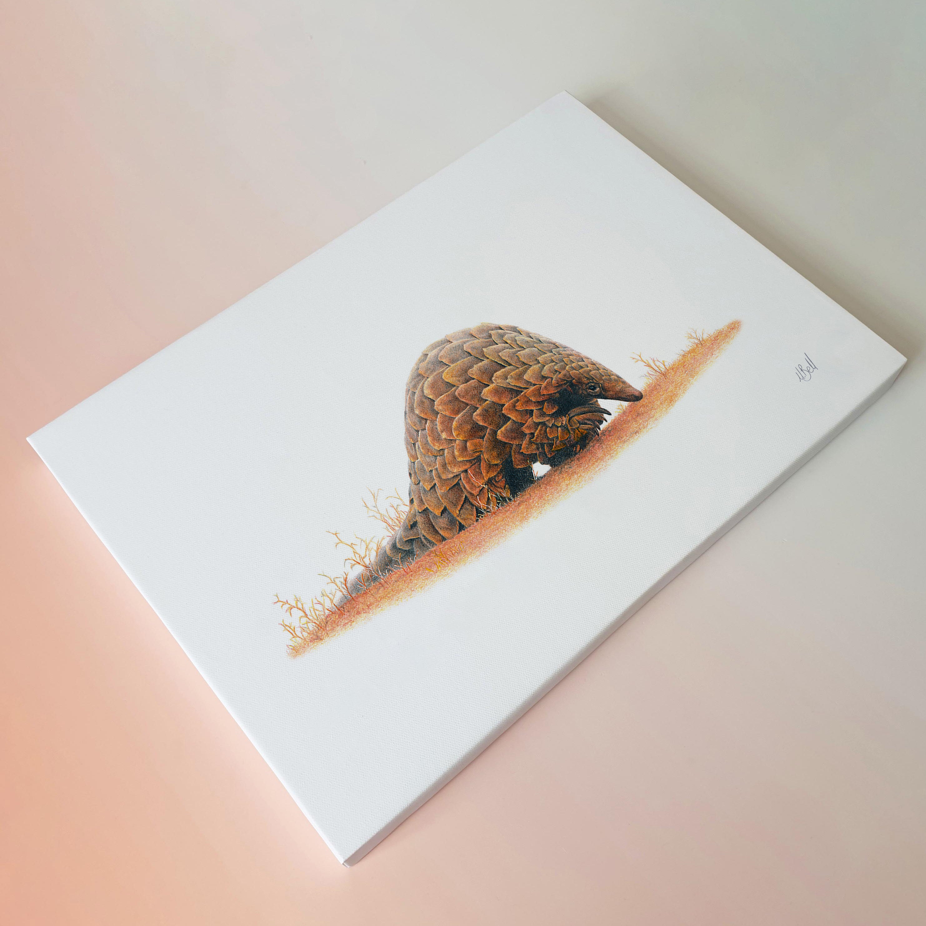 Pangolin African Wildlife nature artwork on canvas