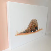 Pangolin African Wildlife nature artwork on canvas