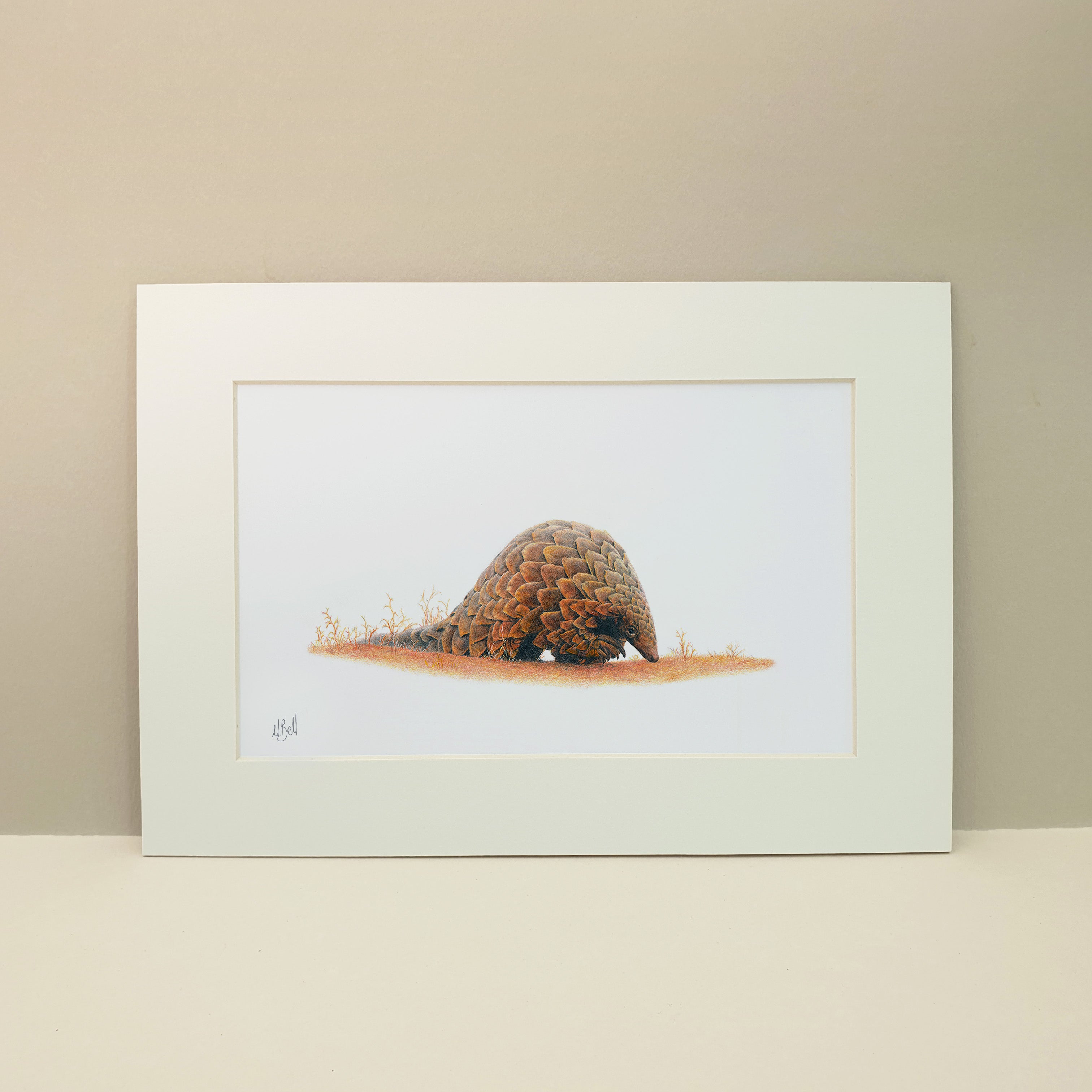 Artwork of a pangolin in South Africa in the Madikwe Game Reserve in Limpopo