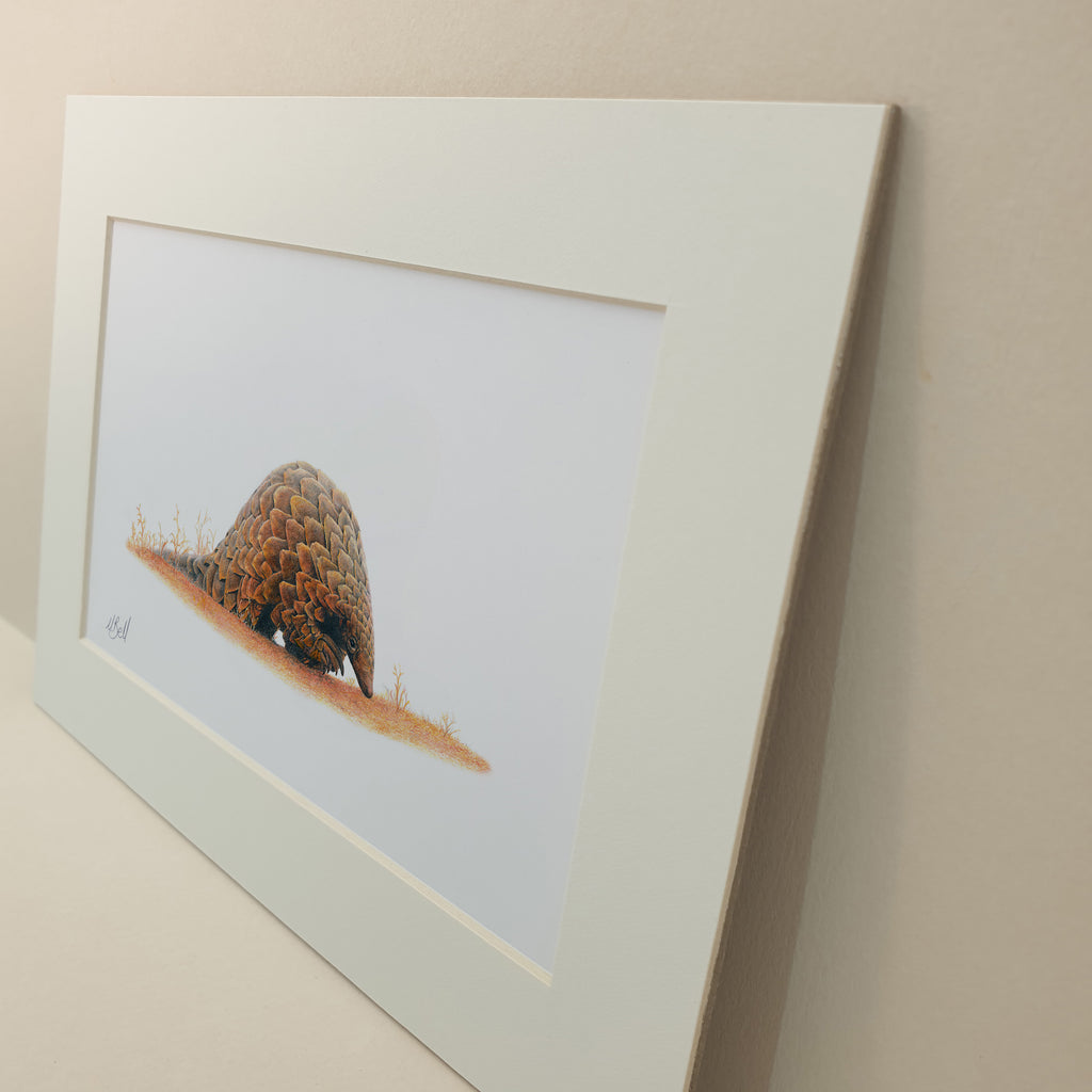 Artwork of a pangolin in South Africa in the Madikwe Game Reserve in Limpopo