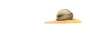 Pangolin Panorama