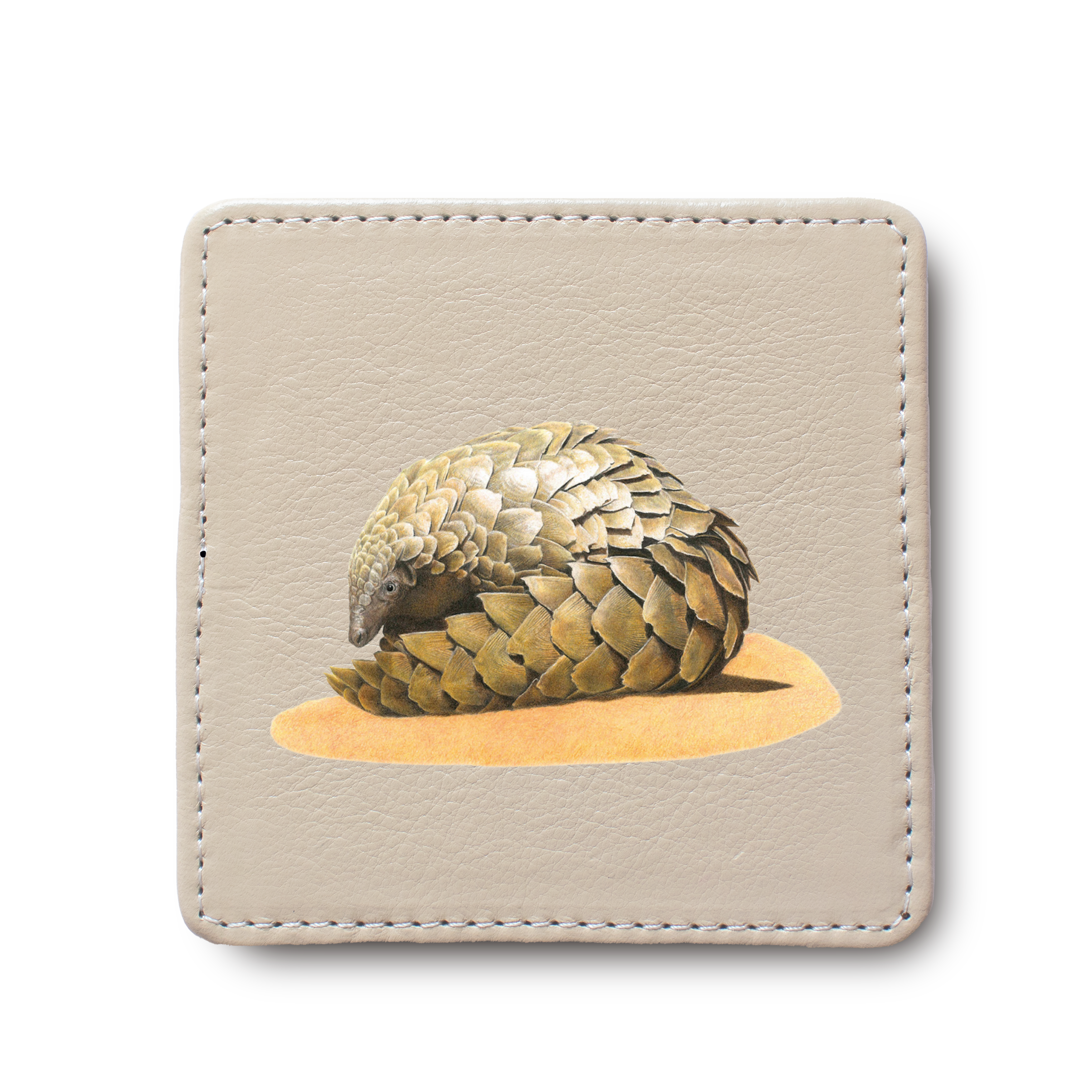 Pangolin animal leather coaster by South African wildlife artist Matthew Bell