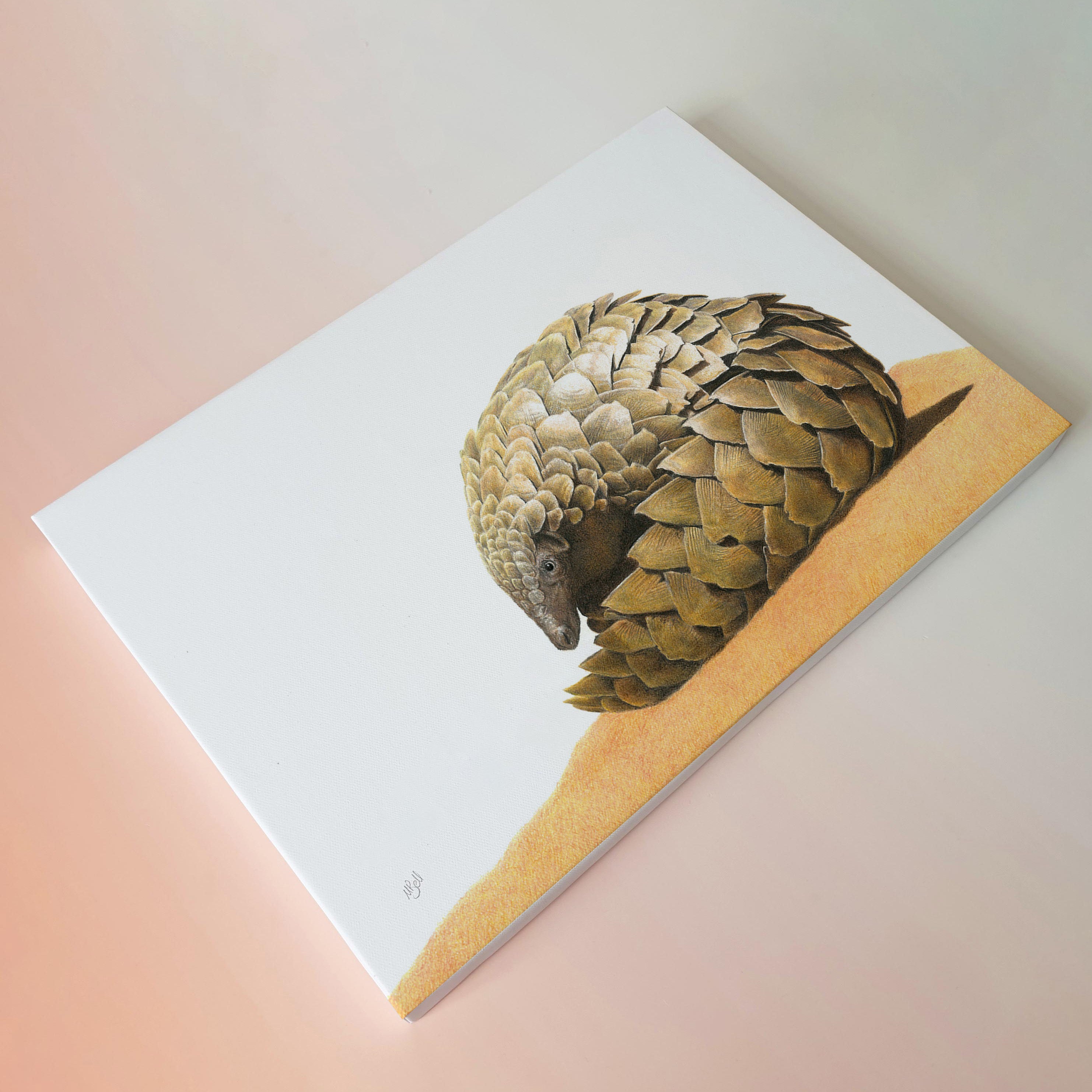 Pangolin African wildlife art on canvas