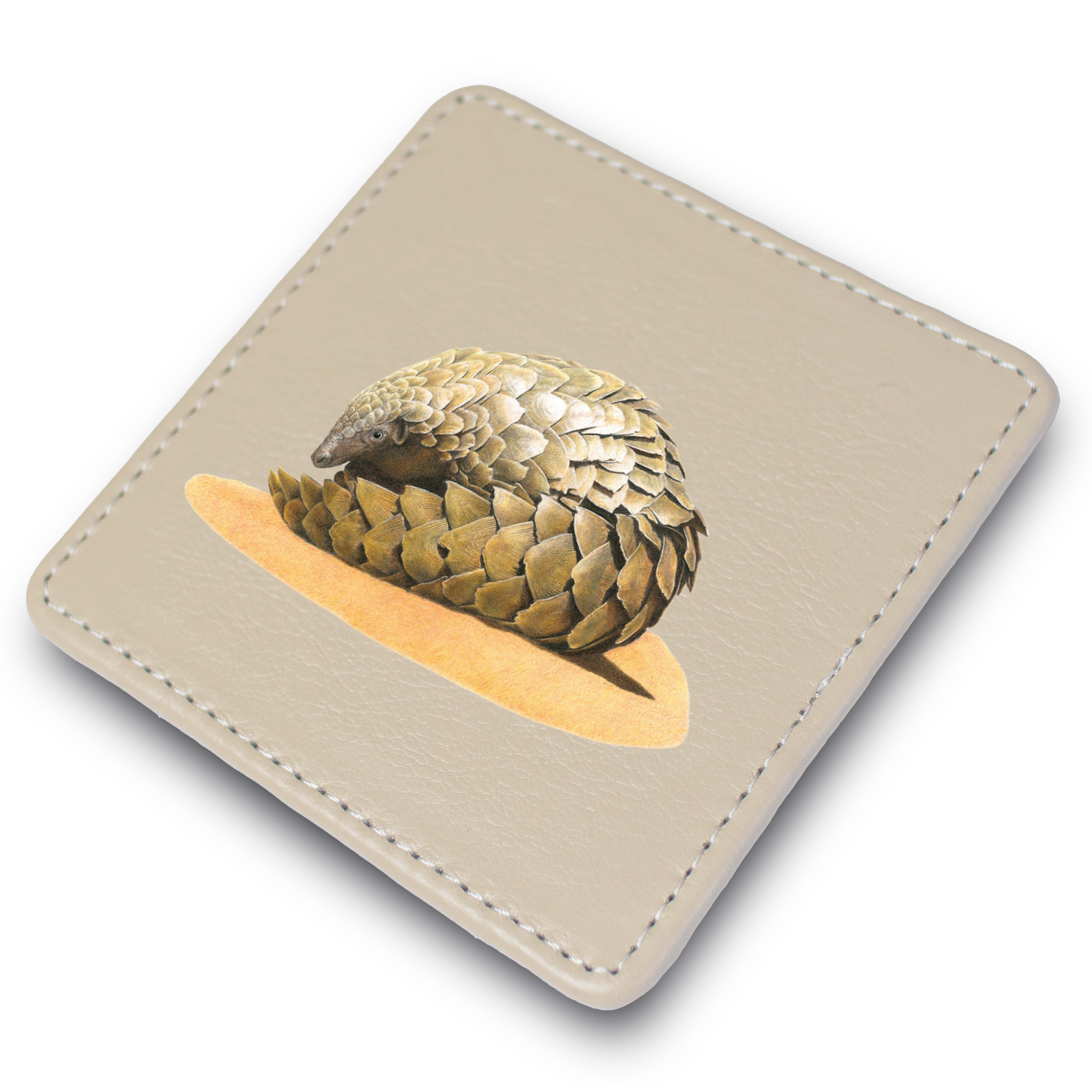 PNG2_-2.png