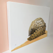 Pangolin African wildlife art on canvas