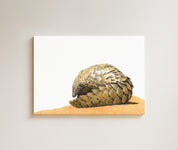 Pangolin drawing on canvas by South African wildlife artist Matthew Bell