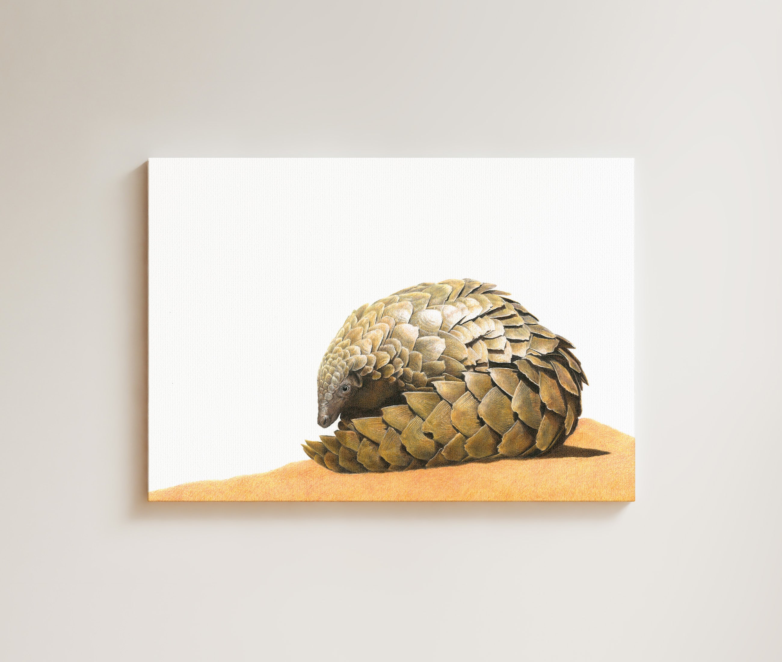 Pangolin drawing on canvas by South African wildlife artist Matthew Bell