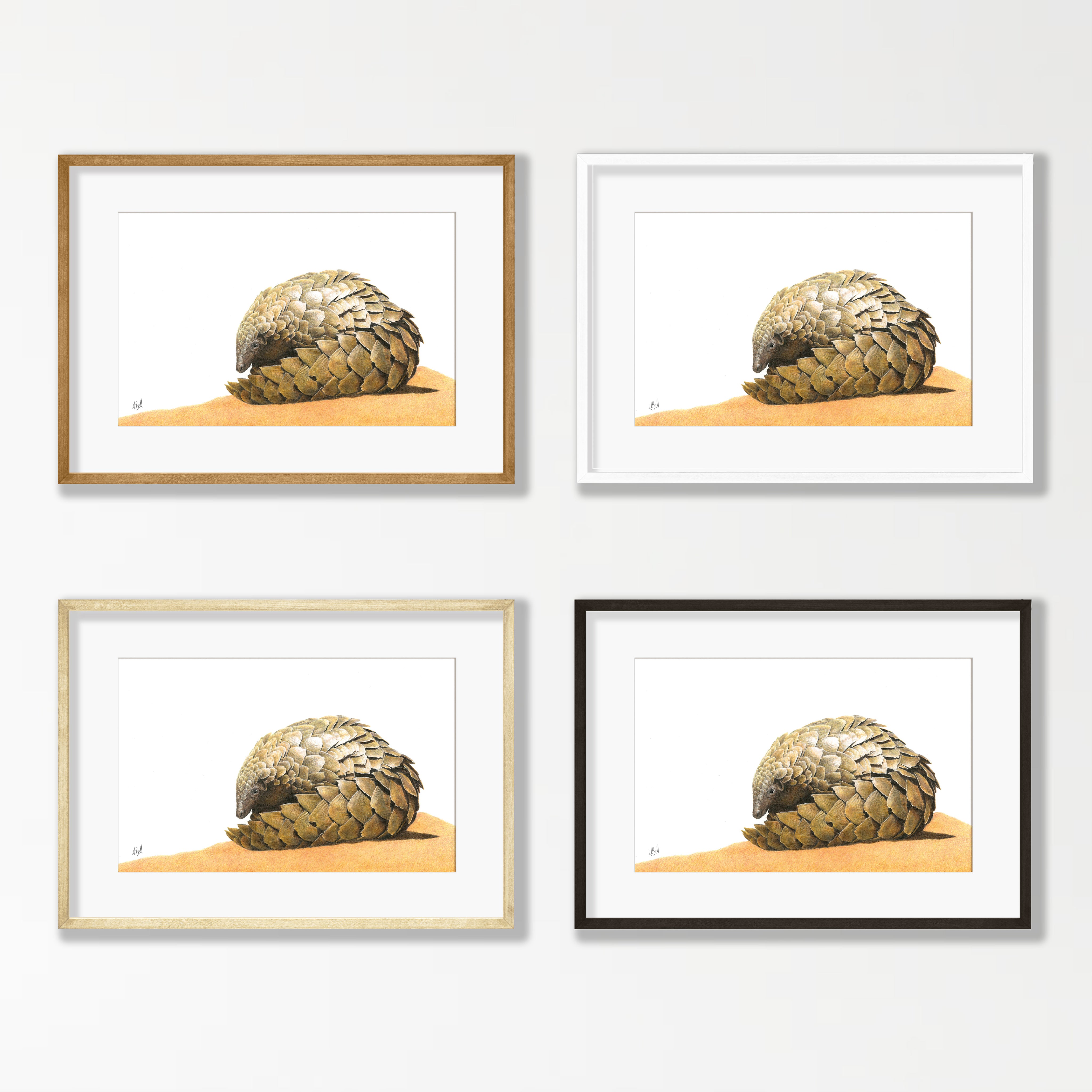 Pangolin - PNG2