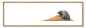 Pangolin Panorama