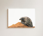 Pangolin drawing on canvas by South African wildlife artist Matthew Bell