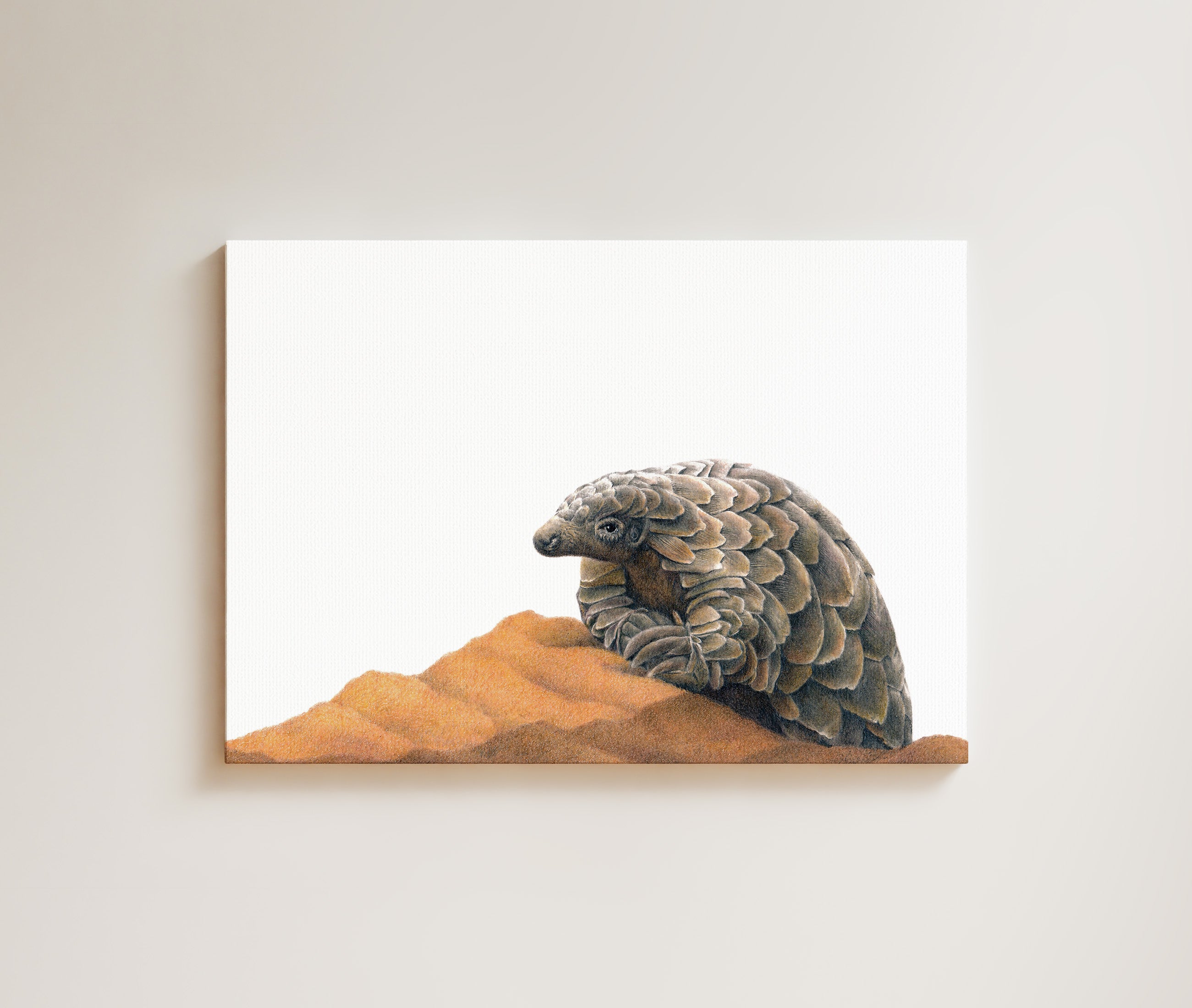 Pangolin drawing on canvas by South African wildlife artist Matthew Bell