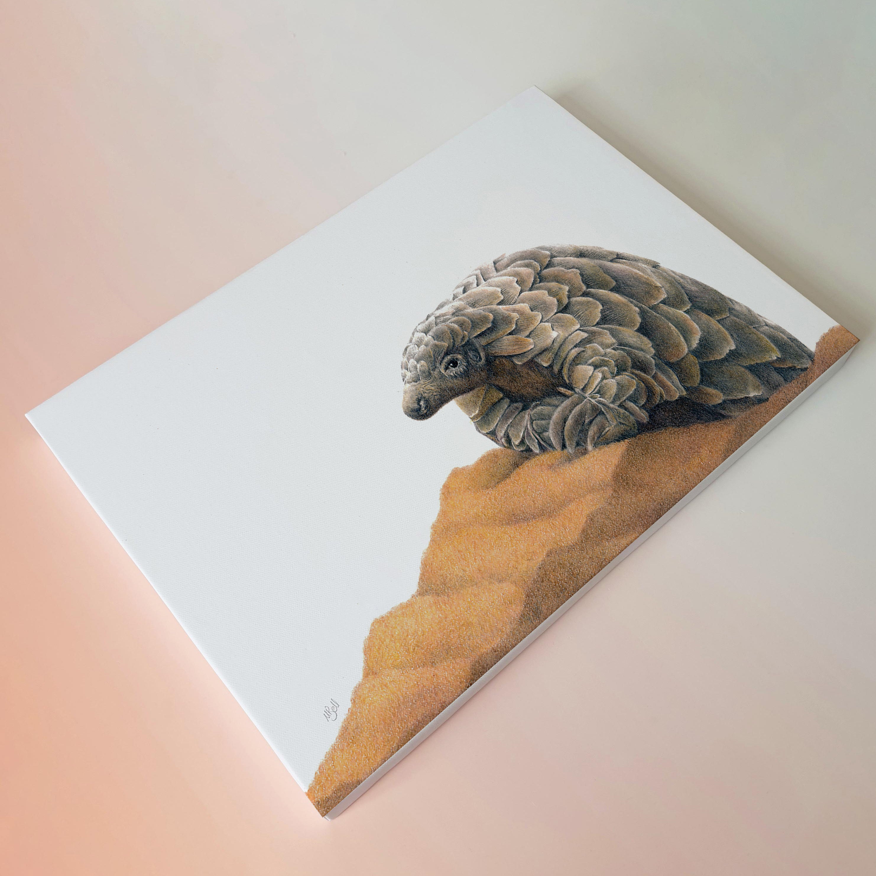 South African artwork of a Pangolin on canvas