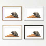 Pangolin - PNG3