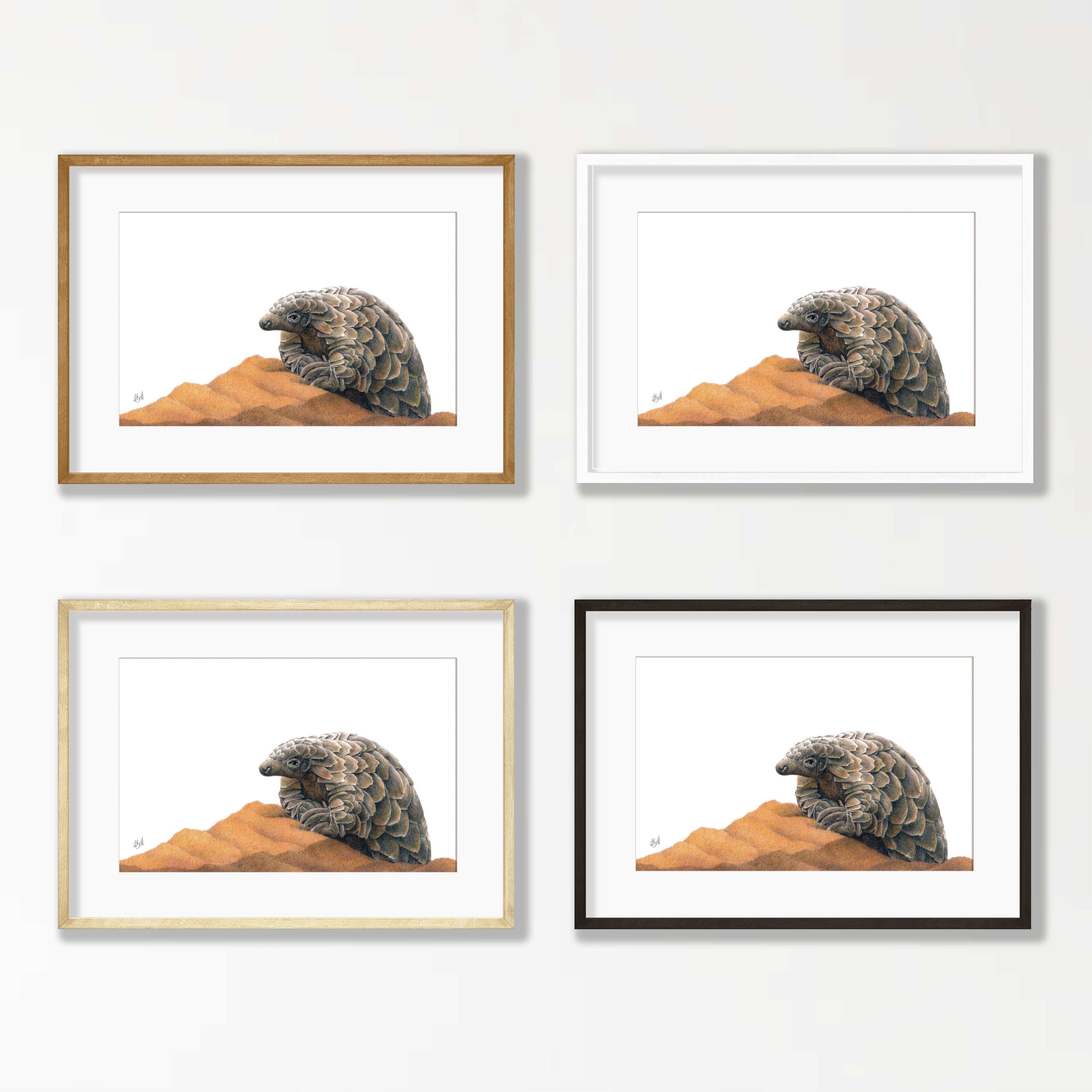 Pangolin - PNG3