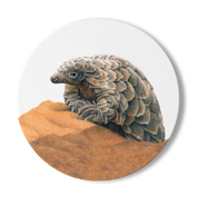 Pangolin Wooden Coaster - PNG3