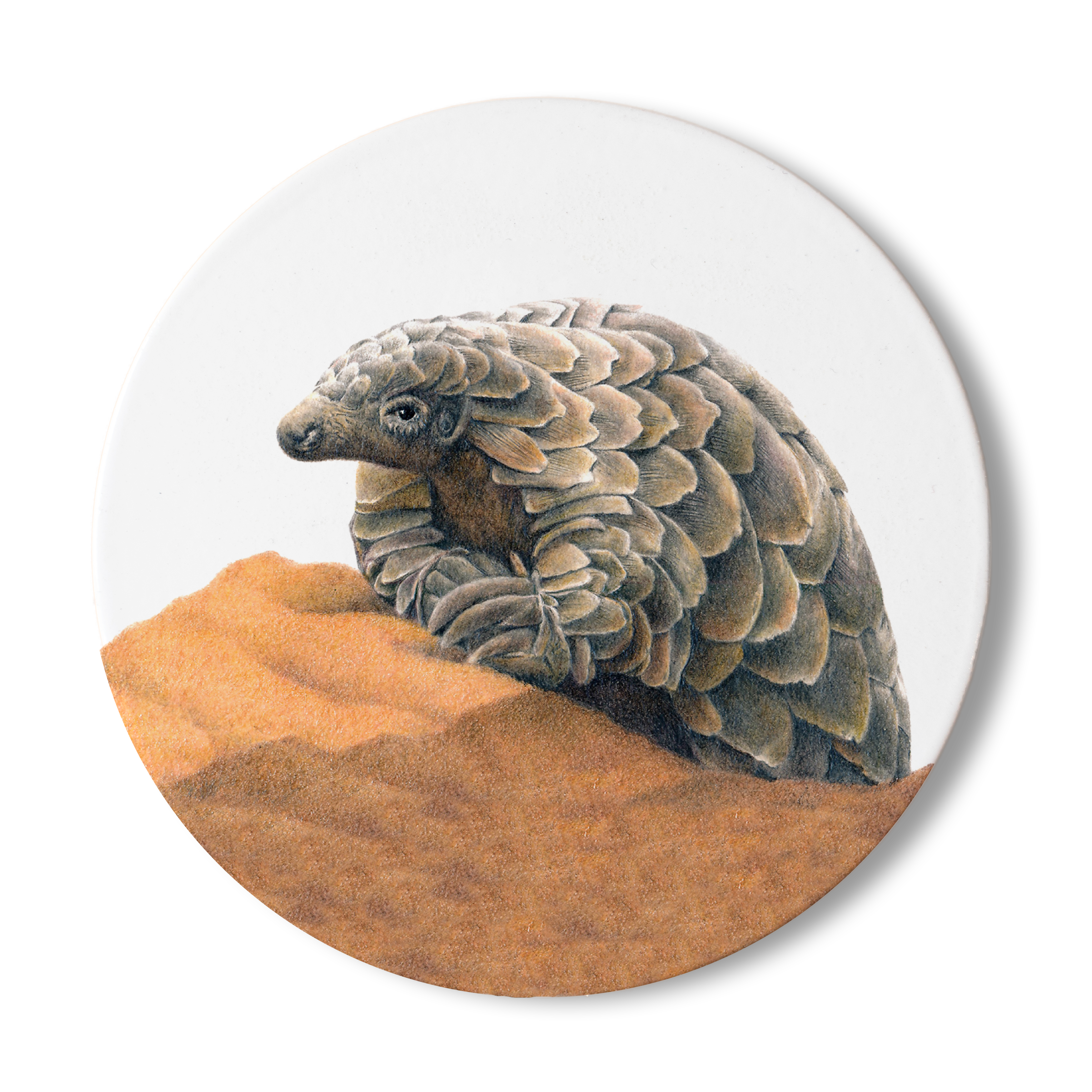 PNG3_143f0809-8c3a-453c-bd68-10cb975b97e0.png