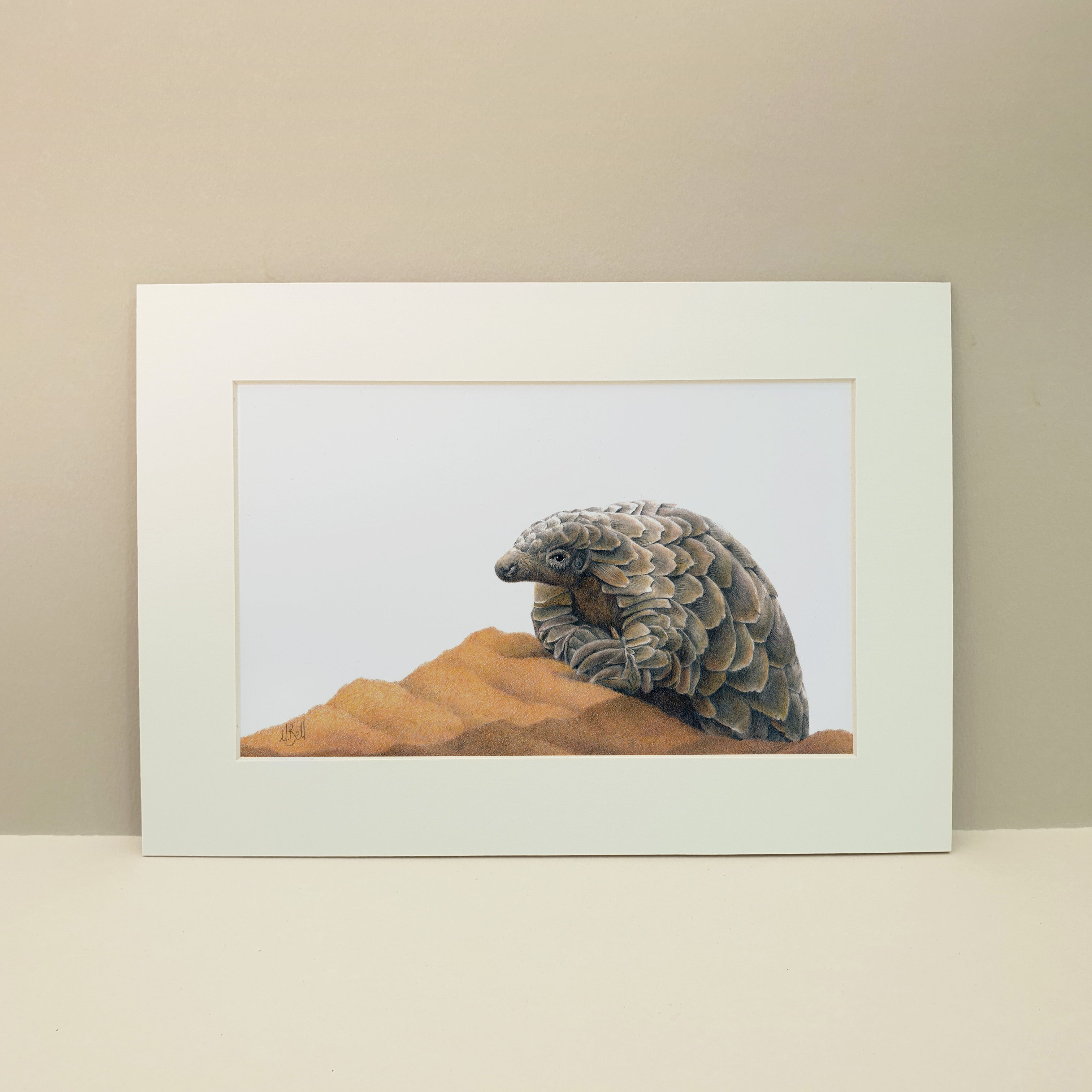 African pangolin artwork painting mounted print