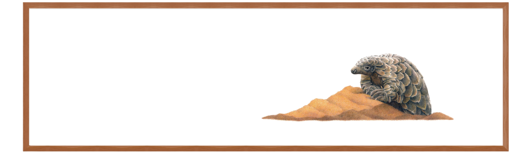 Pangolin Panorama