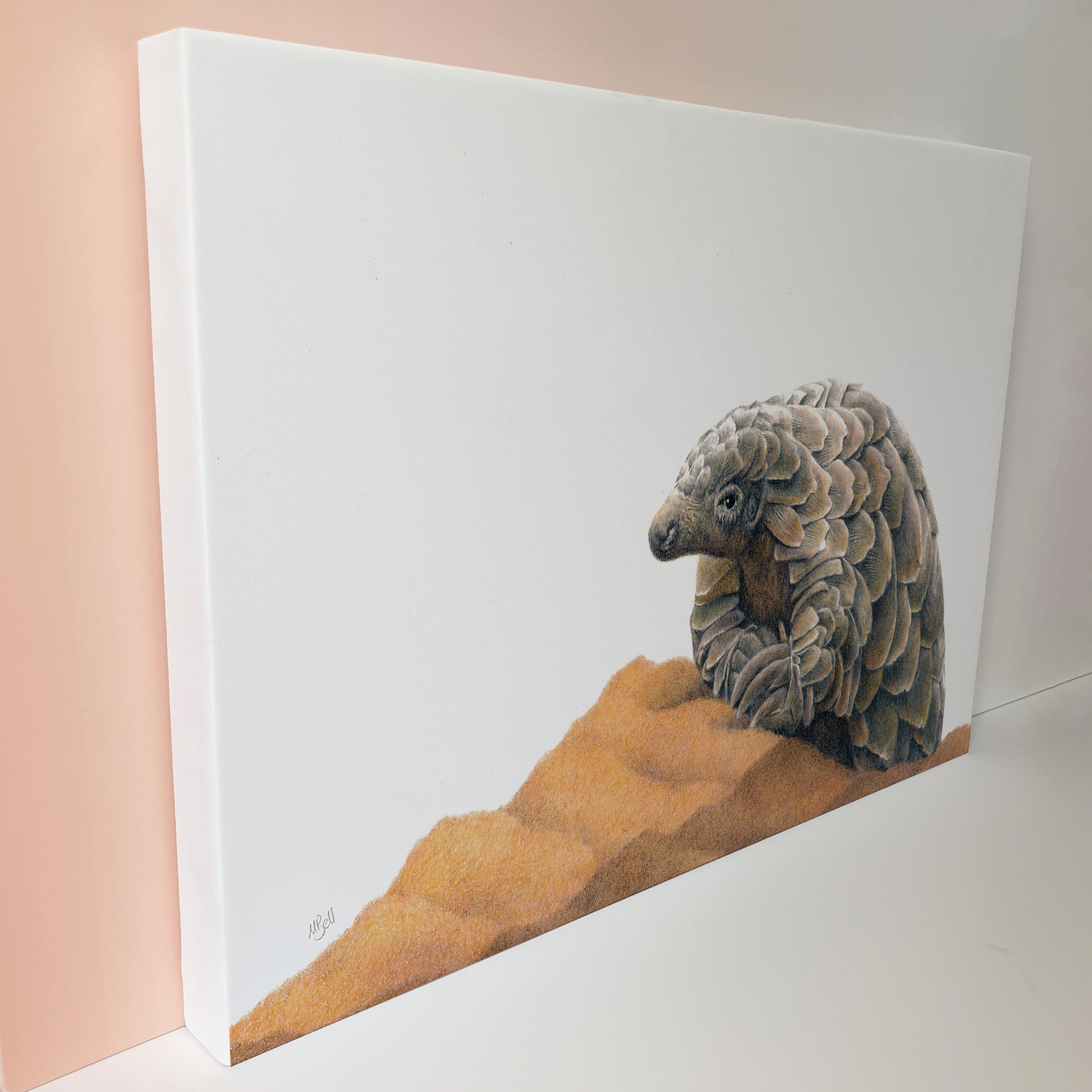 South African artwork of a Pangolin on canvas