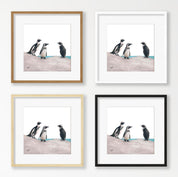 African Penguins - PNN1