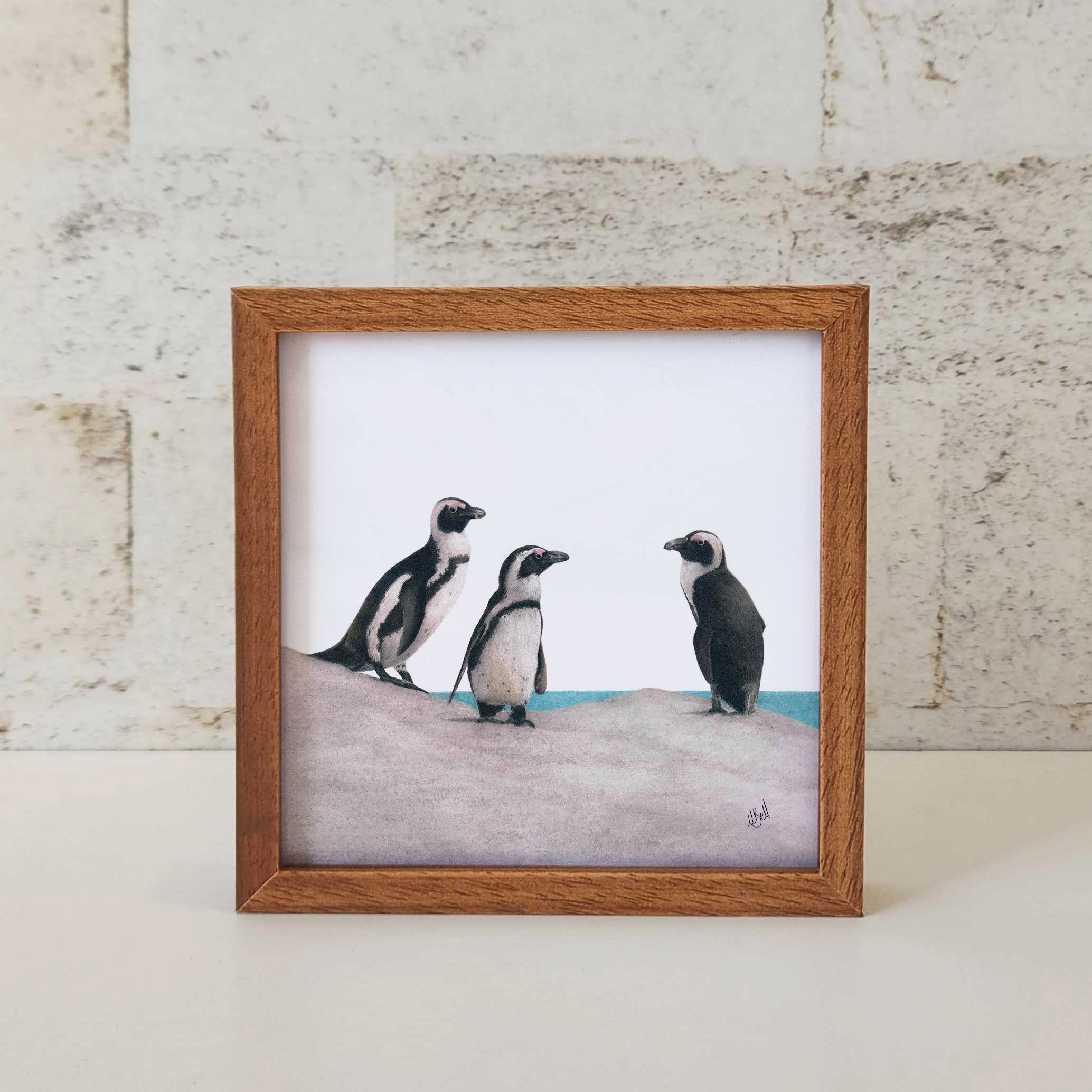 Kiaat wood framed miniature artwork of African Penguins, part of wildlife artist Matthew Bell's birds of South Africa gallery