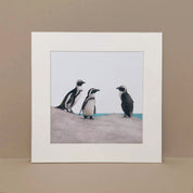 African Penguins at Boulders Beach original pencil art by South African wildlife artist Matthew Bell