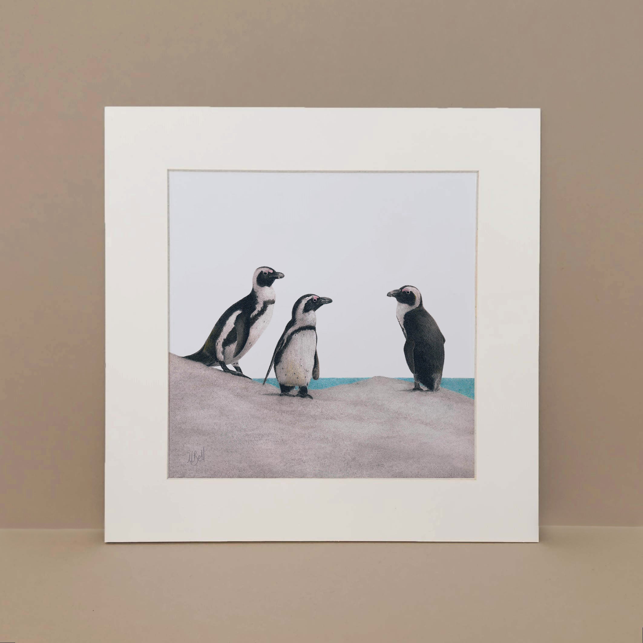 African Penguins at Boulders Beach original pencil art by South African wildlife artist Matthew Bell